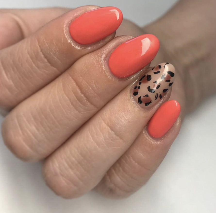 Coral Reef Gel Color